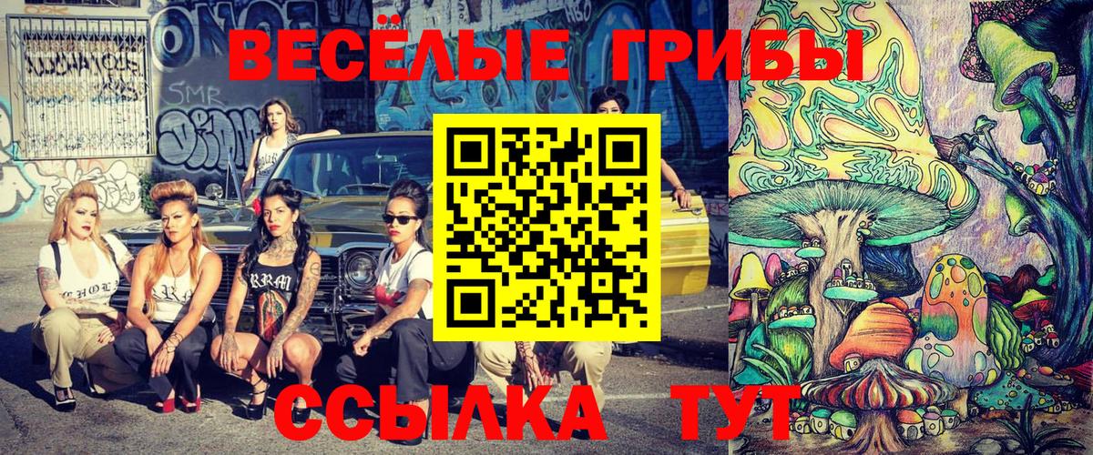Протвино  Галлюциногенные грибы прущие грибы  где найти   Вход с VPN  Галлюциногенные грибы прущие грибы 